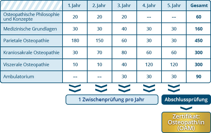 Osteopathie Ausbildungsuebersicht